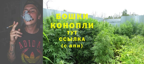таблы Снежногорск