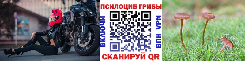 Псилоцибиновые грибы Magic Shrooms  даркнет сайт  Углегорск 